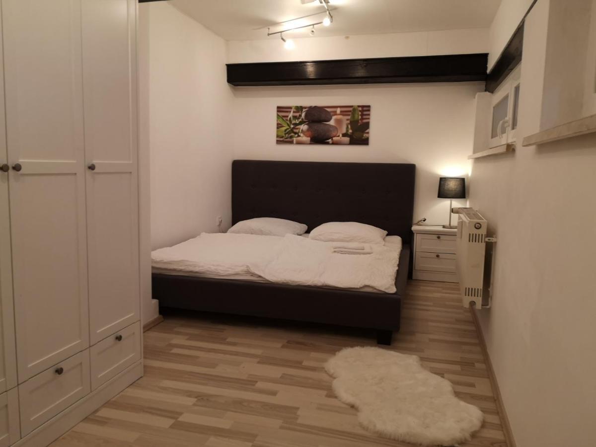 Apartment Direkt An Der Waldnaab Нойштадт-ан-дер-Вальднааб Экстерьер фото