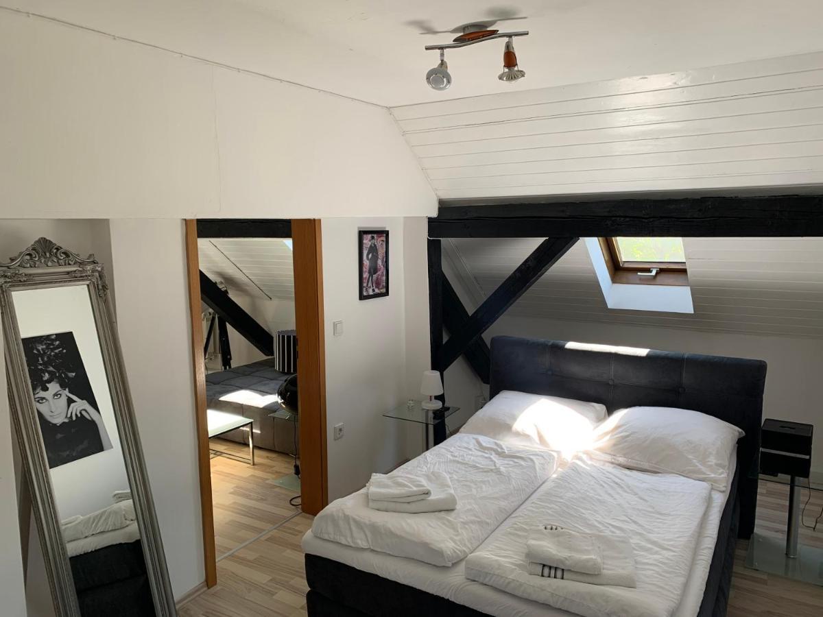 Apartment Direkt An Der Waldnaab Нойштадт-ан-дер-Вальднааб Экстерьер фото