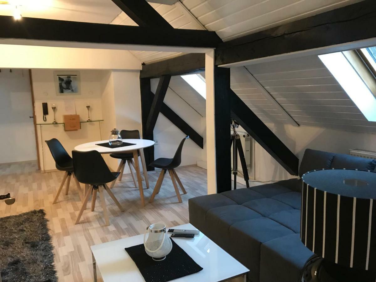 Apartment Direkt An Der Waldnaab Нойштадт-ан-дер-Вальднааб Экстерьер фото