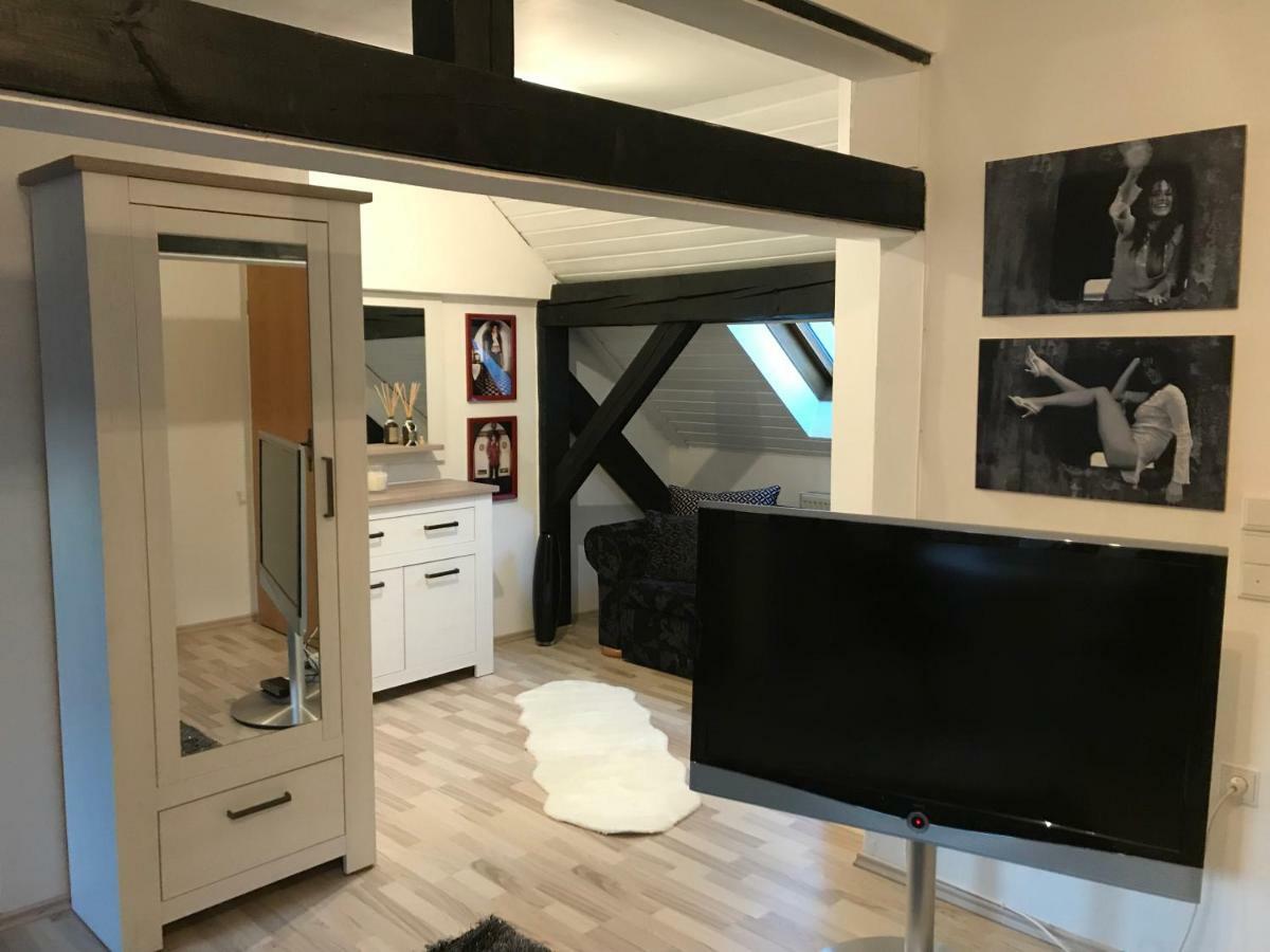 Apartment Direkt An Der Waldnaab Нойштадт-ан-дер-Вальднааб Экстерьер фото