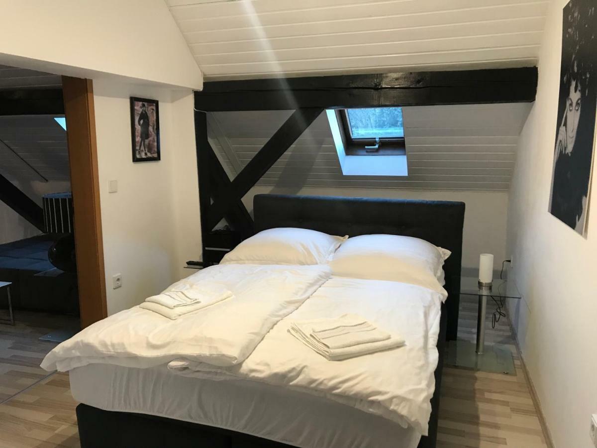 Apartment Direkt An Der Waldnaab Нойштадт-ан-дер-Вальднааб Экстерьер фото